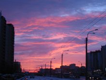 Pink Evening / ***