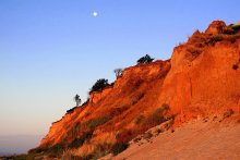 Sleep mammoth ...))) / ***