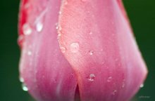 after rain / ...............