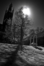 IR Wörlitzer Park # 6 / 6.2.2010, Wörlitzer Park, Wörlitz, Landkreis Wittenberg, Sachsen-Anhalt, Germany...