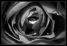 Depths of the subconscious / ***