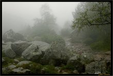 There somewhere in the mist hiding the trolls .... / ***