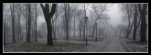 Winter mist I / ***