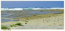 North Sea coast / ***