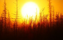 Sunrise in the tundra / ***
