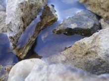 Water and Stone / ***