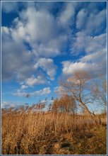 Under the blue sky ... / ------------