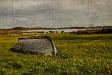 Pskov Region. Pushkin Hills. / ***