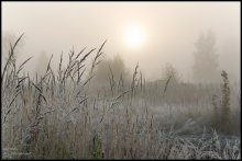 Frosty morning. / ***