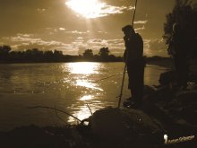 Evening fishing / ***