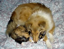 Sleeping Beauty / ***