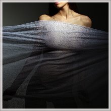 tulle / ***