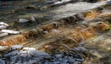 Mountain stream / ***