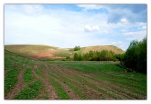 Ural foothills / ***