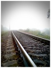 through the fog / ***