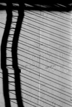 string / ***