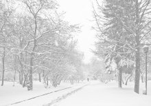 ... The road ... / ***