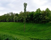 And one soldier in the field ... / ***