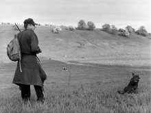 Shepherd / ***