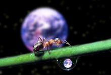 World in a drop of water / ***