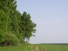 New road / ***