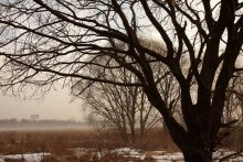 spring morning / ***