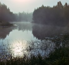 Morning on the river / ***