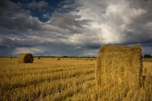 on the threshold of autumn / ***