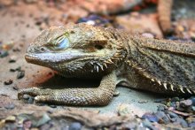 I would be in an hour / ***