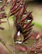 Cling there, all sorts of ... / ***