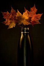 Longing for Fall / ***