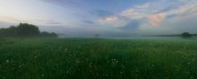 Evening Meadow / ***