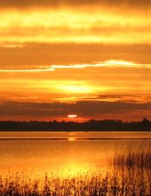 Lake at sunset / ***