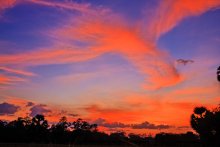 And the pink wing sunset ... / ***