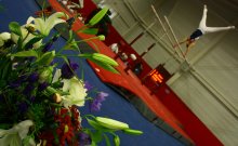 Gymnast / ------