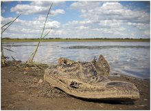 Coast homeless. / ***