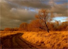 Cheat Autumn / ***