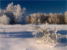 In a white coat in January / ***