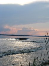 Volga-wave / ***