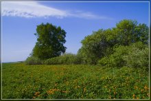 June day / ***