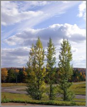 Three Poplars / ********