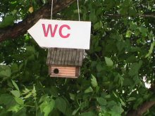 What did not see in Kuskovo / ***