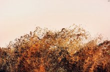 Industrial rainbow / ***