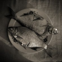 The fish and geometry / ***