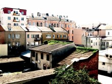 Roofs / ***