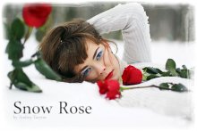 Snow Rose / ***