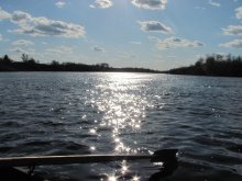 tranquil swimming / ***