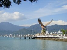 Island of the Red Eagle / ***