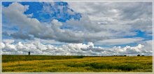 On the road with clouds. / ***