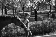 A lady with a horse / ***